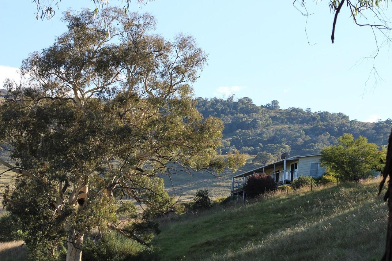 Elm Cottage Tumut Εξωτερικό φωτογραφία