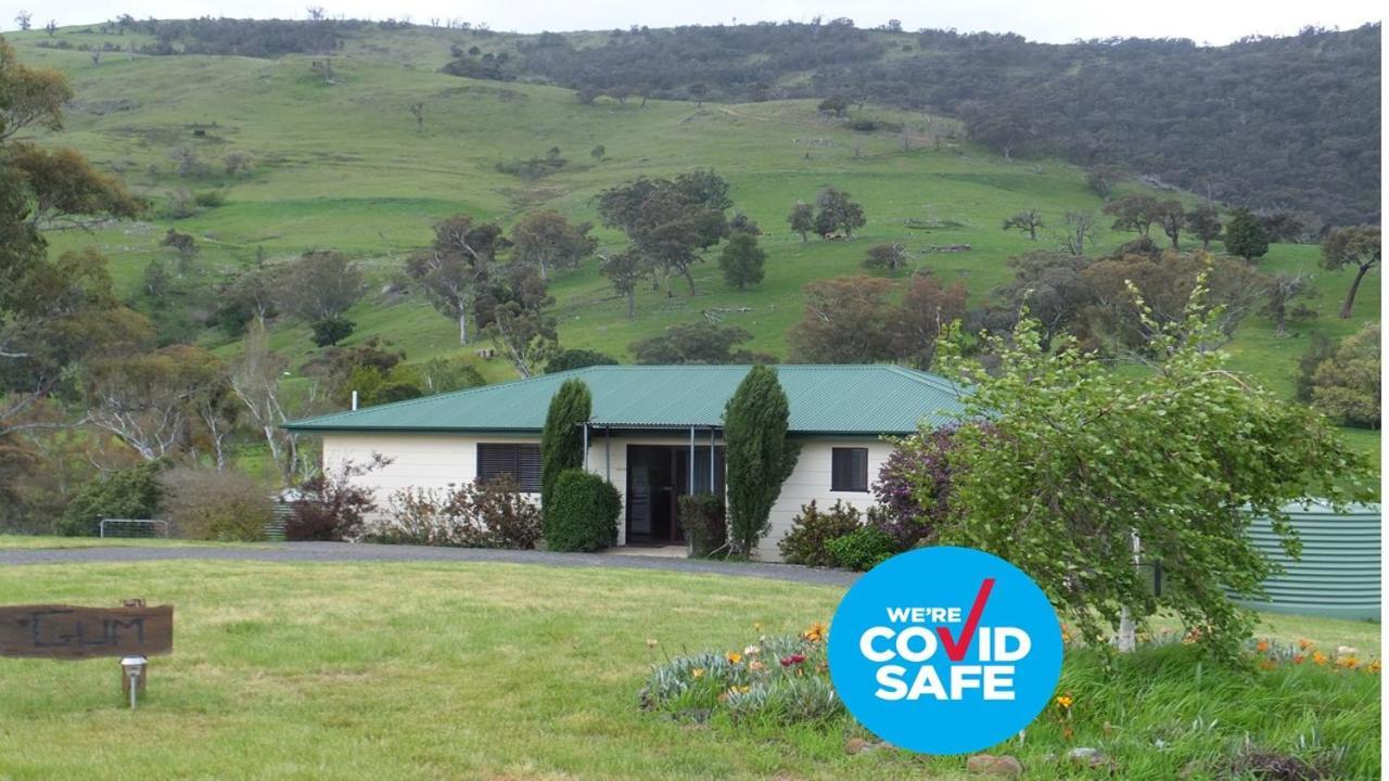 Elm Cottage Tumut Εξωτερικό φωτογραφία