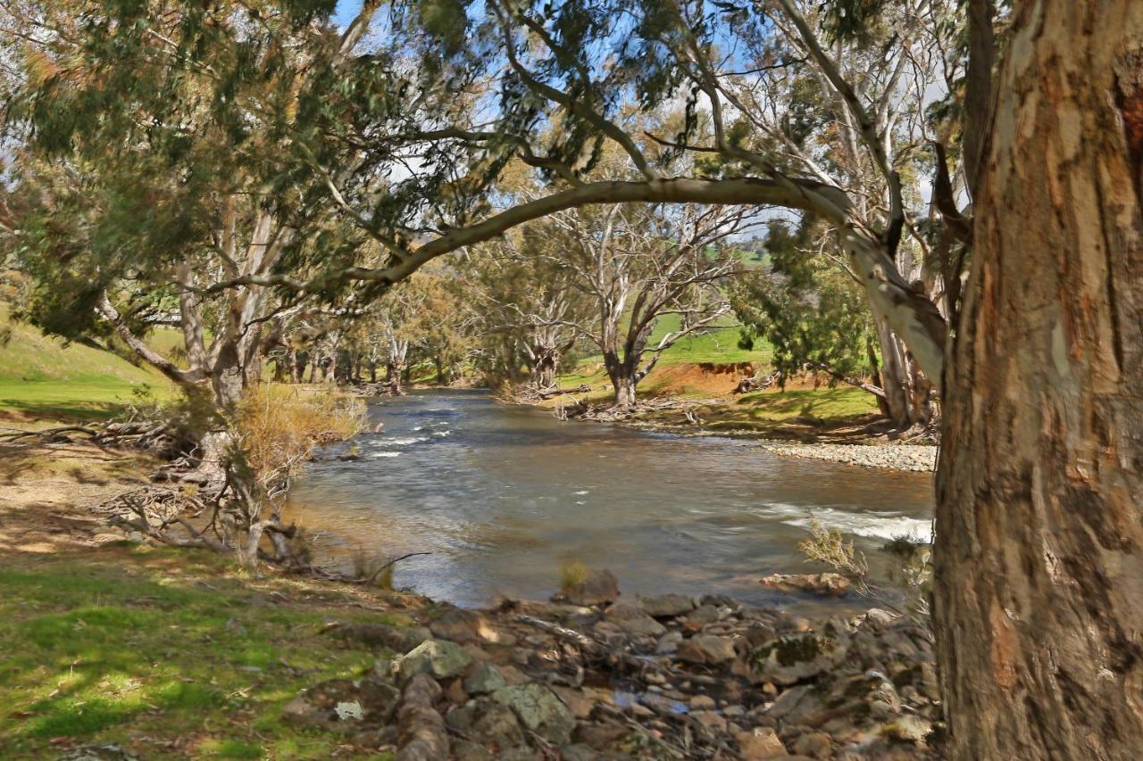 Elm Cottage Tumut Εξωτερικό φωτογραφία