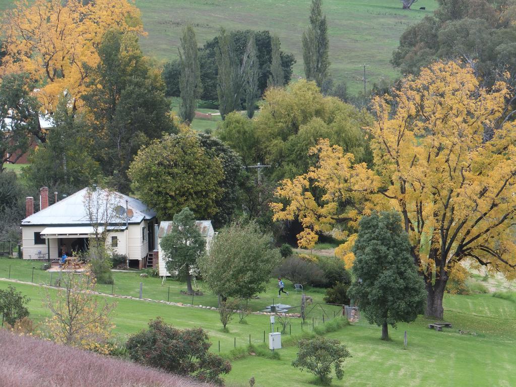 Elm Cottage Tumut Εξωτερικό φωτογραφία