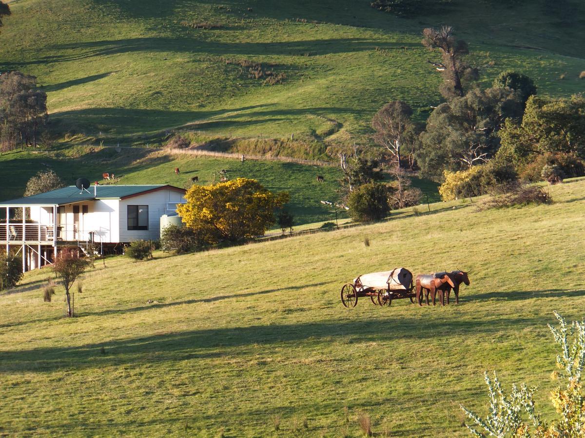 Elm Cottage Tumut Εξωτερικό φωτογραφία