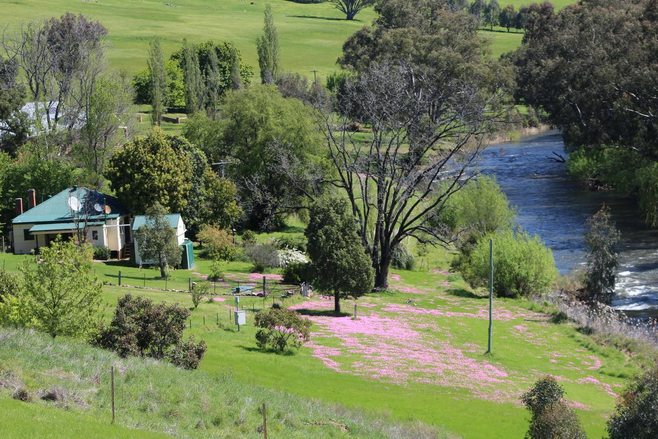 Elm Cottage Tumut Εξωτερικό φωτογραφία